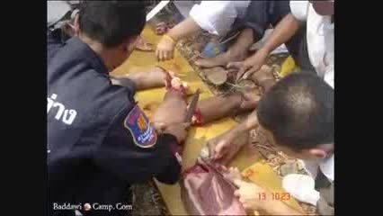 خرید و فروش گوشت انسان در کشور تایلیند