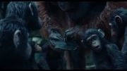 Dawn of the Planet Apes 2014 trailer
