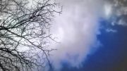 درخت و ابر...