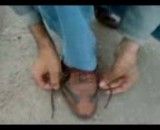 بستن بند کفش بدون دست توسط جوان تبریزی