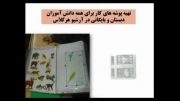 فیلمی از گزارش عملکردی فعالیتهای انجام شده در آذر  ماه 91 - دبستان پسرانه مفتاح 2