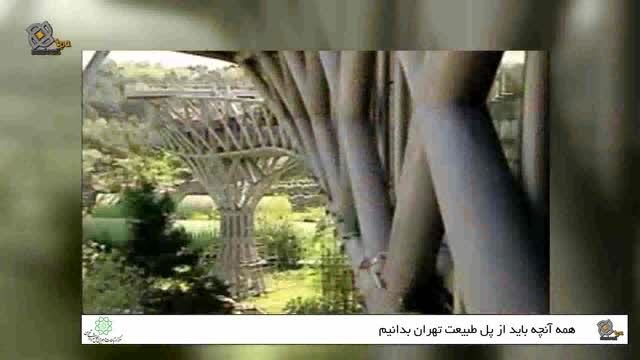همه آنچه باید از پل طبیعت تهران دانست