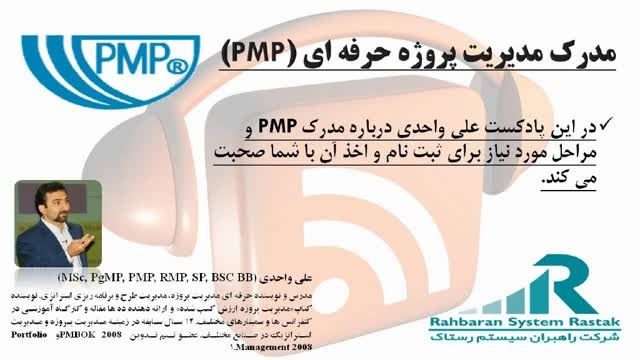 PMP-WMV
