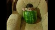 بچه در هندوانه