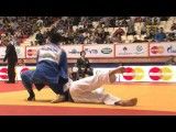 101 JUDO IPPONS 2011 - Pre-order now!