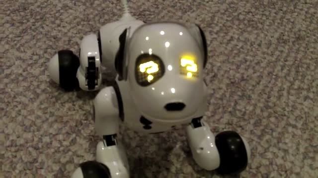 خرید اینترنتی سگ رباتیک ZOOMER