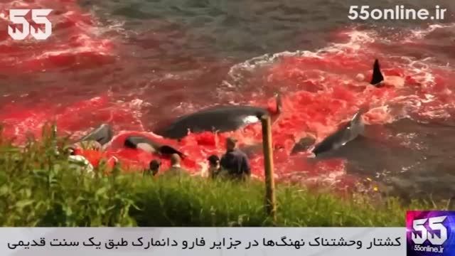 کشتار وحشتناک نهنگ ها در جزایر فارو دانمارک