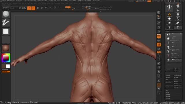 مدل بدن انسان در زیبراش (قسمت چهارم)