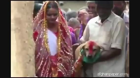 ازدواج دختر هندی با سگ !
