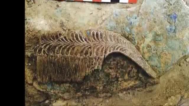 کشف گنج 3500 ساله در قبر