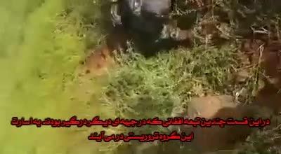به اسارت در آمدن مدافعان حرم در درعا منطقه بصرالحریر