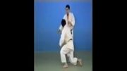 Tsurikomi Goshi - 65 Throws of Kodokan Judo