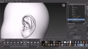 مدلسازی گوش انسان در نرم افزار-mudbox-7 -پایان قلم کوبی