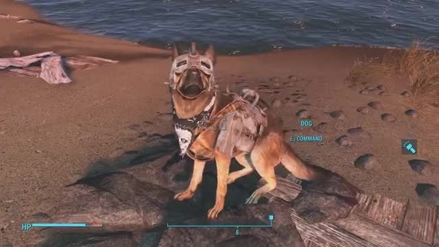 dog armor in fallout 4 + how get it