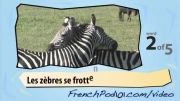 آموزش فرانسه با ویدیو 5 (سیاحتی اکتشافی)