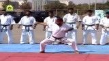 شیهان صیادی شکستن اجسام  سخت کیوکوشین کاراته