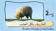 آموزش عربی با تصویر-44