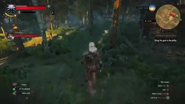 راهنمای The Witcher 3: Wild Hunt-قسمت هفدهم