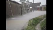 بارش شدید باران بهاری در روستای فش