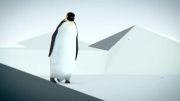 Reference برای متحرک سازی( 3d animated penguin )