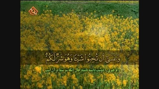 تلاوت سوره بقره (همراه ترجمه فارسی) - قاری پور زرگری