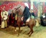 رقص اسب - اسب عرب - اسب