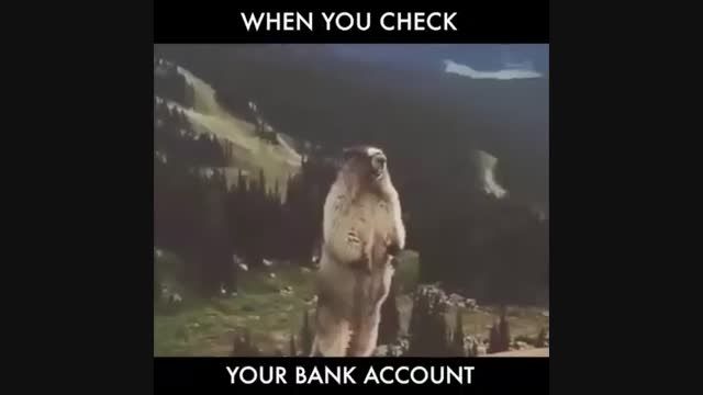 وقتی حساب بانکیتو چک میکنی