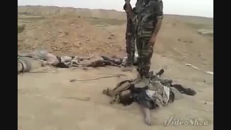 پاتک ارتش سوریه و قبیله آل شطیط به داعش