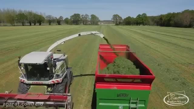 Agriculture Ensilage Ray grass
