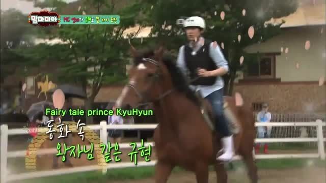 پسر برتر از گل من از اسب میترسه-kyuhyun