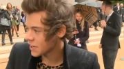 Harry Styles interview at the Burberry show