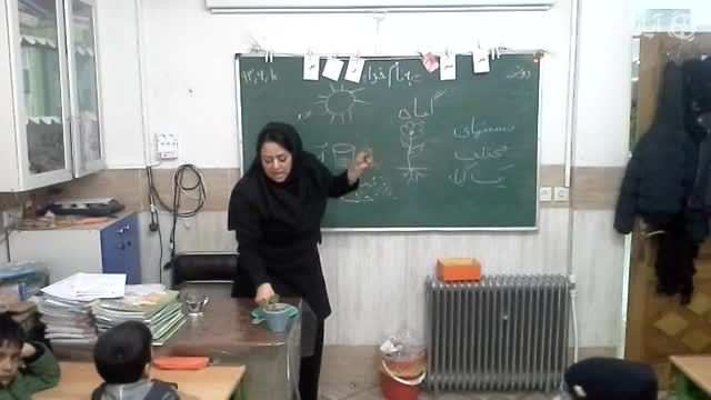 آموزش گیاهان به پایه اول خانم غلام حسینی 93