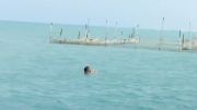 شنا در جزیره قشم(امیرحسین مرامی)