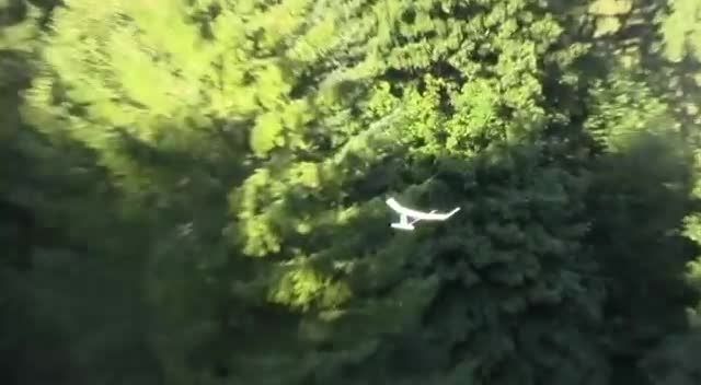 پرواز یک گلایدر دست ساز در محیط جنگلی