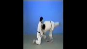 Uki Otoshi - 65 Throws of Kodokan Judo