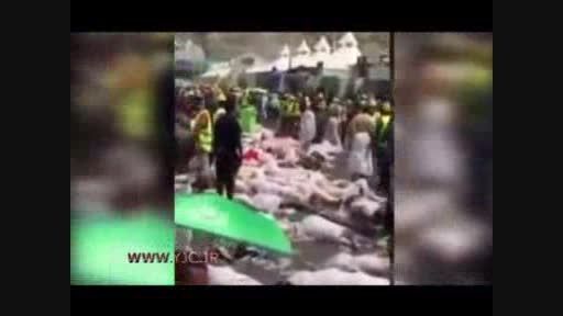 فیلمی دلخراش از فاجعه منا در عید قربان 1394