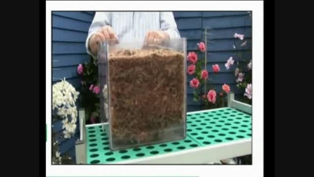 روش استفاده از خزه اسفاگنوم 500 گرمی -فروش در seeds.ir