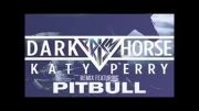 Pitbull Feat Katy Perry Dark Horse