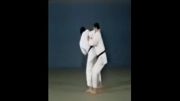 Harai Goshi Gaeshi - 65 Throws of Kodokan Judo