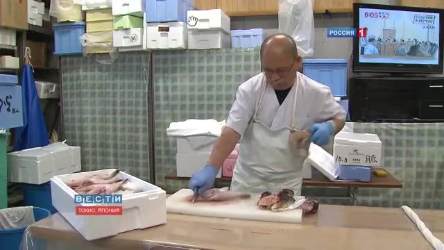 Fugu-fish: risky Japanese delicacy