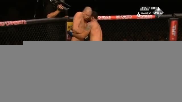UFC 190 Struve vs Rodrigo Nogueira - Round 1