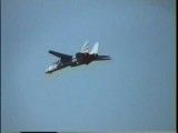 جنگنده تامکت F-14