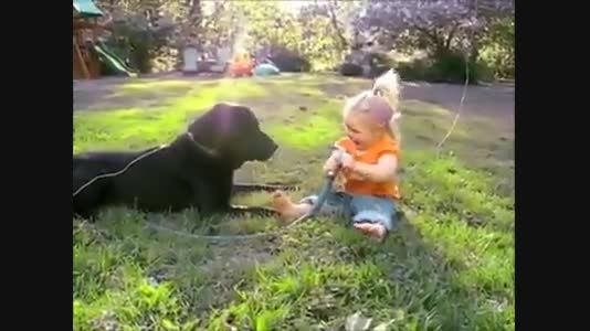 بازی بچه با سگ