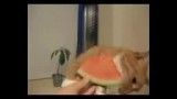 گربه هندوانه خوار