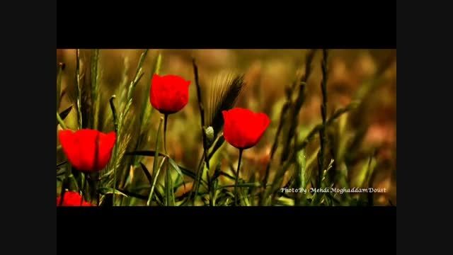 جان عاشق - بهرام حصیری (از بهترین موسیقی های ایران)