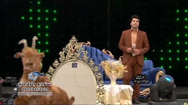 کرمانجی- اجرای آهنگی زیبا از اصغر کامیاب
