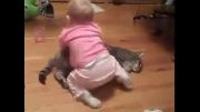 کودک و گربه