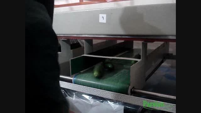 Cucumber Sorting Machine