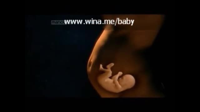 رشد جنین - قسمت اول