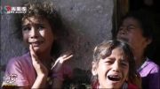 غصه فراموش شده انسایت در غزه